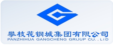 攀枝花鋼城集團有限公司